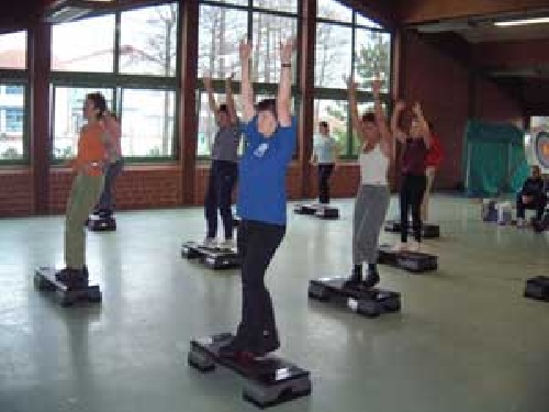 Aerobics article