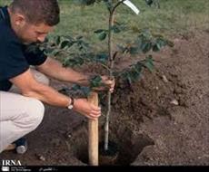 Plant Research