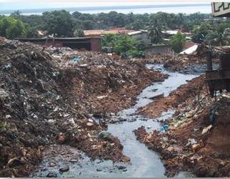 This soil contaminants