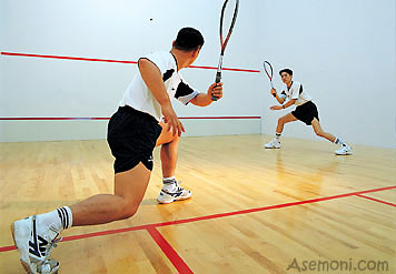 Article about squash