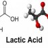 مقاله اسید لاکتیک (رشته مهندسی پزشکی – درس بیوفیزیک)
