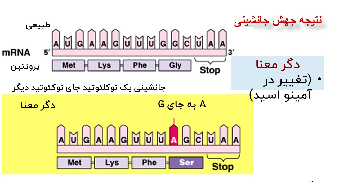 پاورپوینت تغییر در مادۀ وراثتی جانداران زیست شناسی دوازدهم