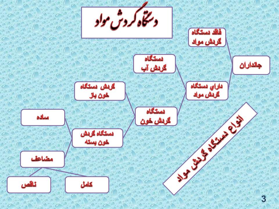 پاورپوینت تنوع گردش مواد در جانداران زیست شناسی دهم