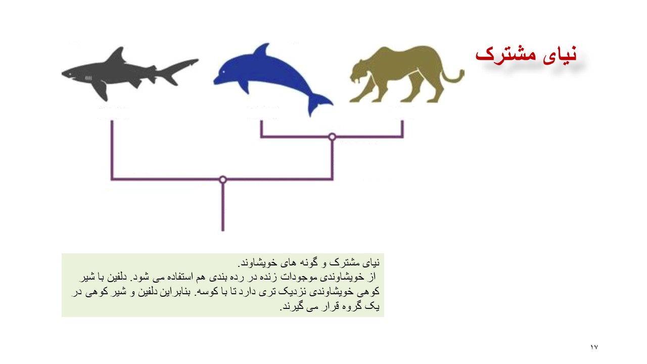 تدریس تغییر در گونه ها زیست دوازدهم